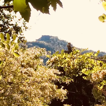 Tana Dell'elfo Bed and Breakfast