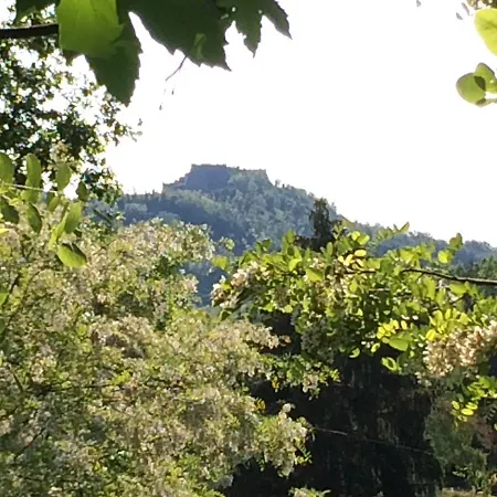 Bed and breakfast Tana Dell'elfo Gavi